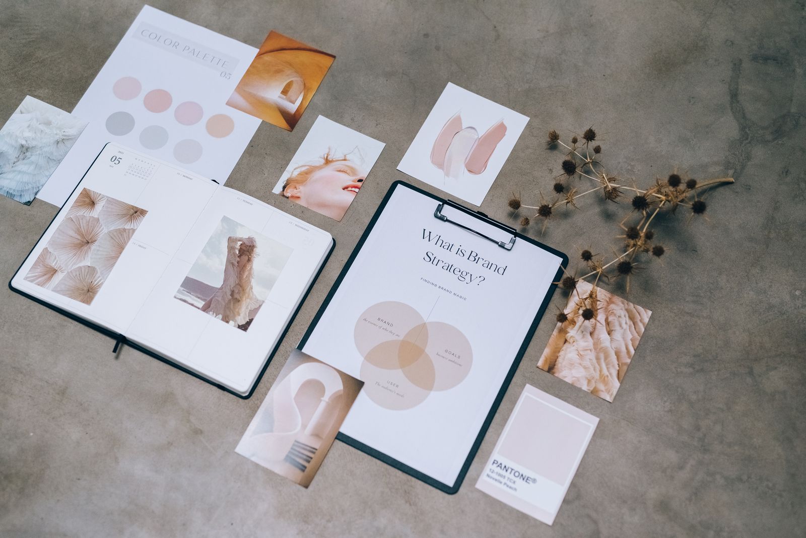 Branding & Identity